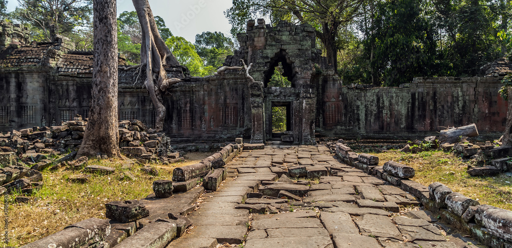 Fototapeta premium Angkor wat jungle in Siem Reap Cambodia.