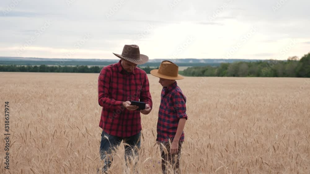 Happy family of farmers in a wheat field. A father and son in red checked shirts and hats walk around the field looking at ripe ears of wheat. Happy family of farmers in a wheat field. A father and son in red checked shirts and hats walk around the field looking at ripe ears of wheat.