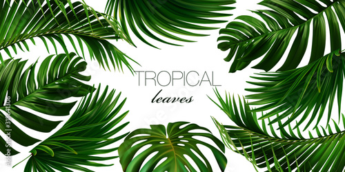 Fototapeta Vector horizontal tropical leaves banners on white background. Exotic botanical design for cosmetics, spa, perfume, health care products, aroma, wedding invitation. Web banner