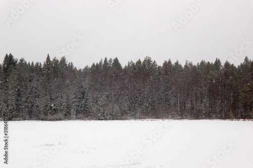 Lake and forest in winter snowfall
