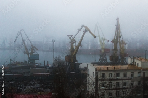 cranes in foggy port