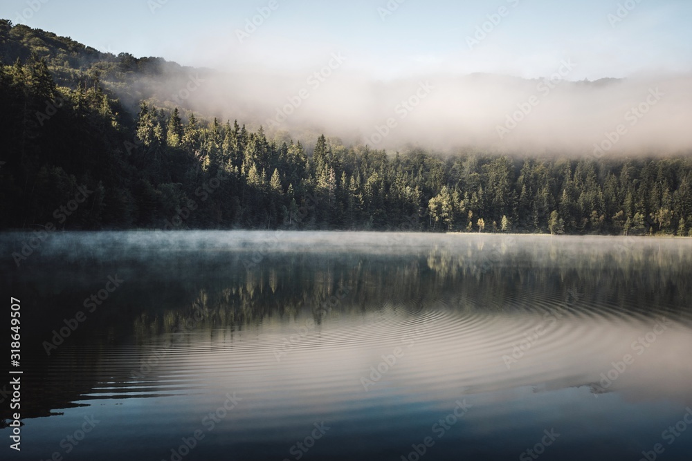 Moody landscape with morning fog in the forest lake. Nature misty wallpaper. 