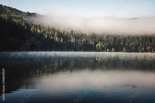 Moody landscape with morning fog in the forest lake. Nature misty wallpaper. 