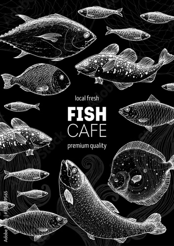 Fish sketch collection. Hand drawn vector illustration. Seafood frame vector illustration. Food menu illustration. Hand drawn tuna, salmon, flounder, cod fish, herring. Engraved style.