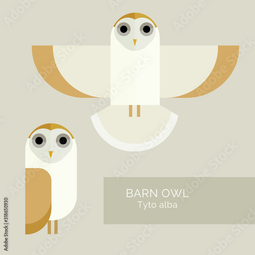 Vector illustration. Character owl. Geometric simple design. Pastel shades. Barn owl, Tyto alba