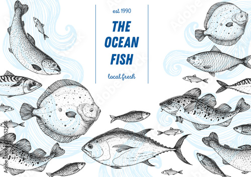 Fish sketch collection. Hand drawn vector illustration. Seafood frame vector illustration. Food menu illustration. Hand drawn tuna, salmon, flounder, cod fish, herring. Engraved style.