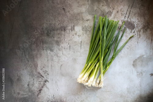 Green Onions on a Concrete ...