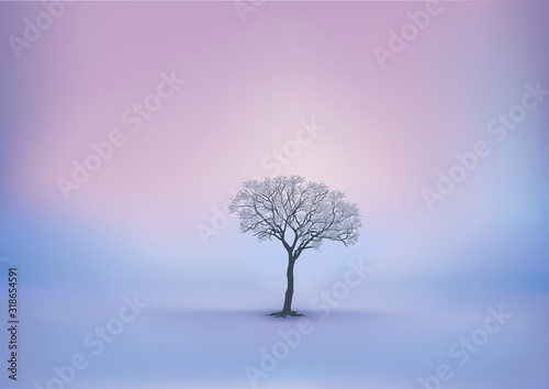 Saison d'hiver avec un lever du jour sur un paysage enneigé et un arbre sans feuille comme unique décor. © pict rider