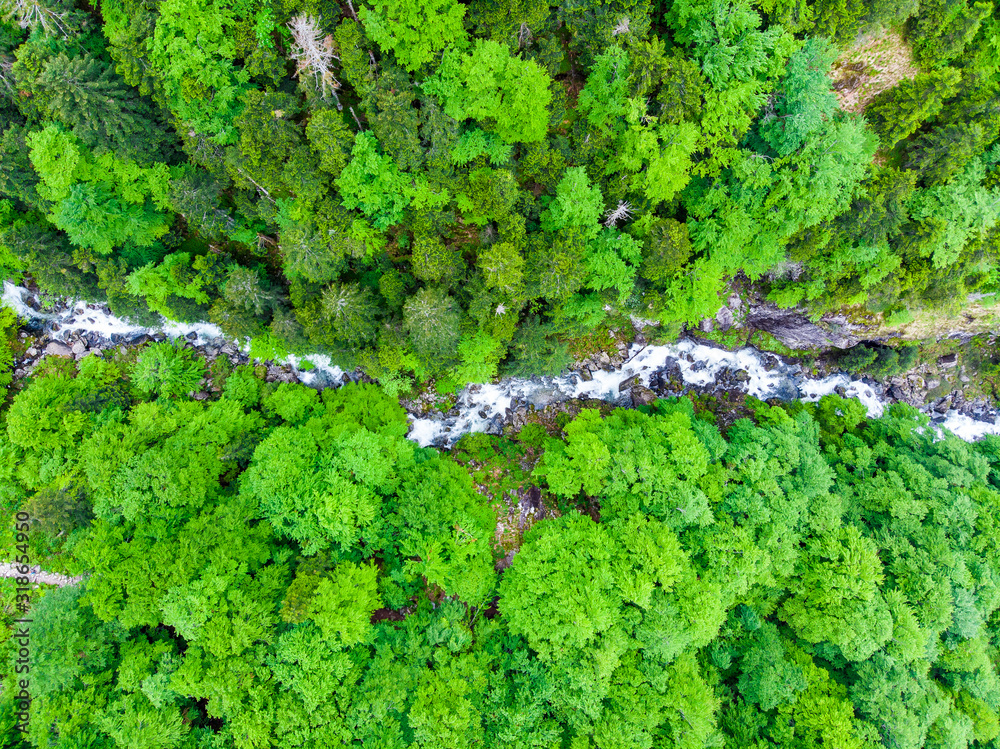Fototapeta Aerial view. River flowing in the forest.