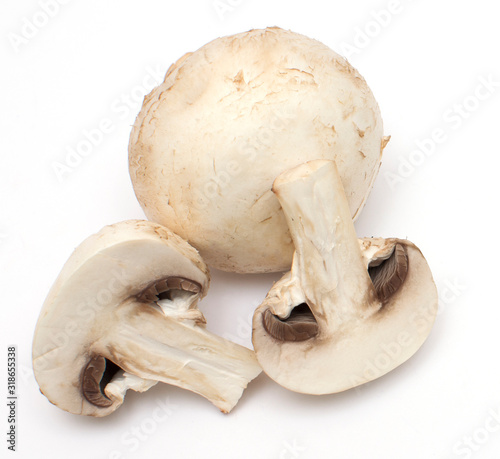 fresh champignons on a white isolated background close-up