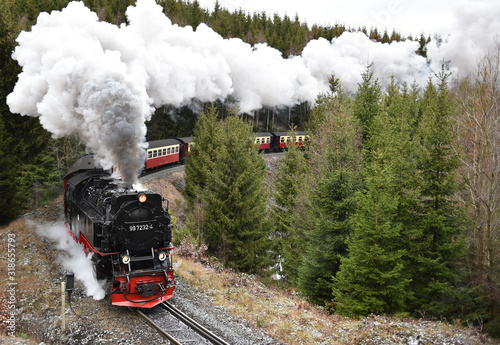 Quadro su tela Harzer Schmalspurbahn