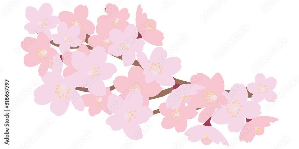 イラスト素材　桜　さくら　サクラ　花びら　枝　木　ベクター