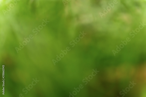 Abstract green blur background