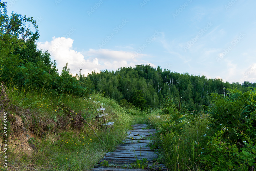 Scenic forest landscape. View of a wooden walkway and a lonely bench among fresh summer greenery. Eco path in the Rhodope Mountains, Bulgaria. Hiking, vacation, eco tourism concept. Scenic forest landscape. View of a wooden walkway and a lonely bench among fresh summer greenery. Eco path in the Rhodope Mountains, Bulgaria. Hiking, vacation, eco tourism concept.