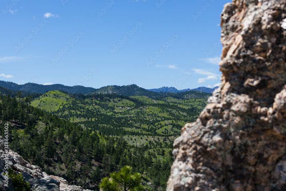 Black Hills Landscape