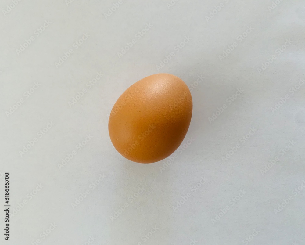 Single brown chicken egg isolated on white Single brown chicken egg isolated on white