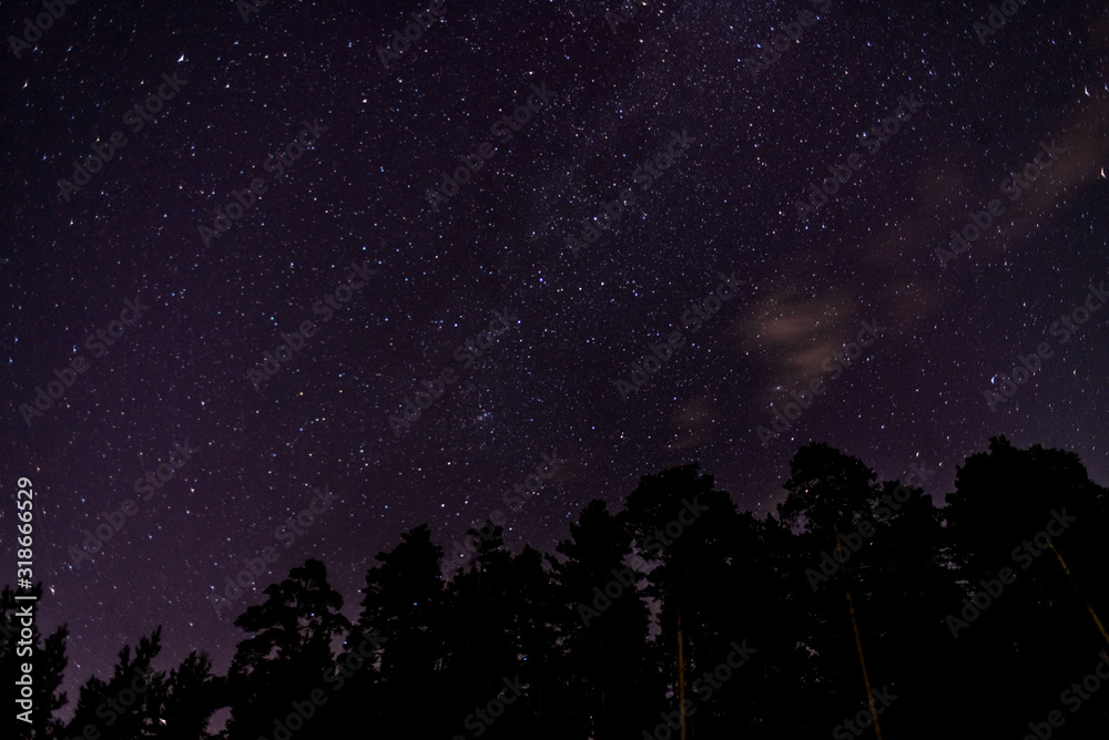 night summer autumn view lake river starry sky under the stars picnic bonfire September October sparks bonfire burns fire forest tree pine spruce cedar