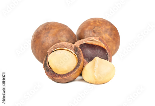 Macadamia nut isolated