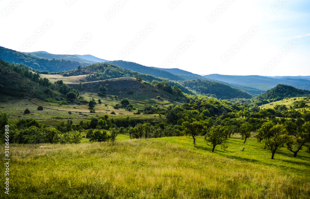 Landscape of a beautiful hills covert in green and a sunny sky, Hateg, Romania