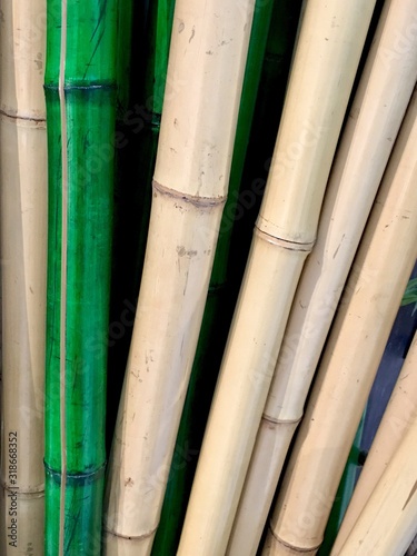 Murais de parede Full Frame Shot Of Bamboos