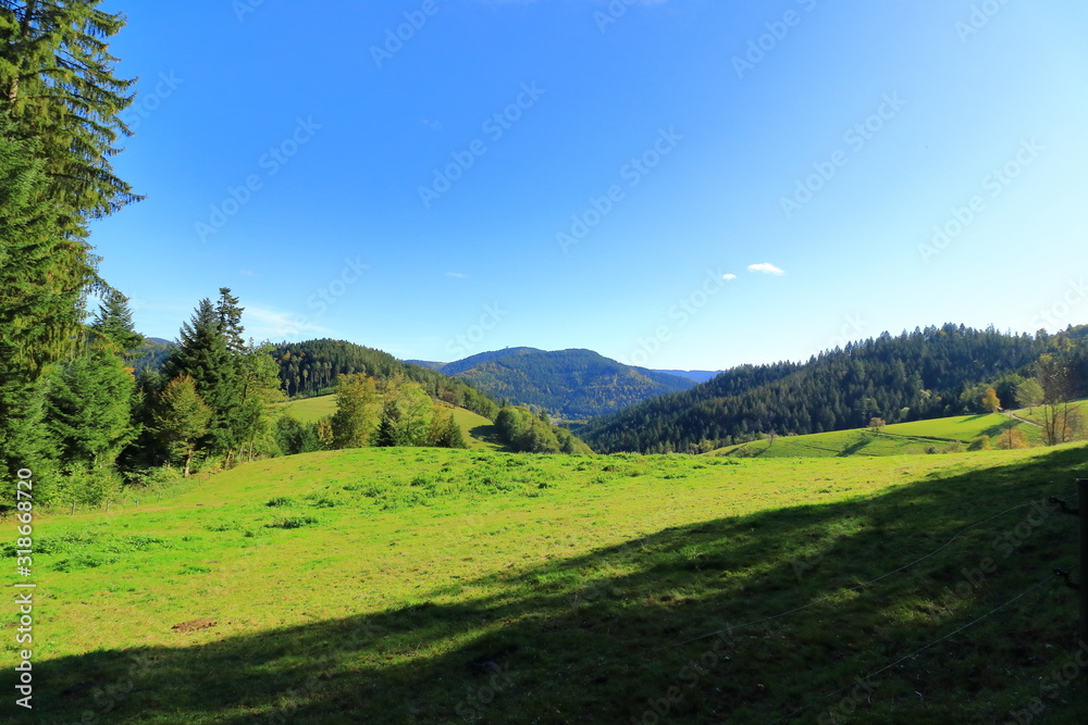 Obraz premium Schwarzwaldpanorama
