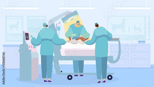 Surgeon performing operation, dog in veterinary clinic, vector illustration