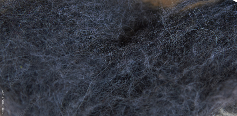 Obraz premium gray Raw wool, ready for manufacturing