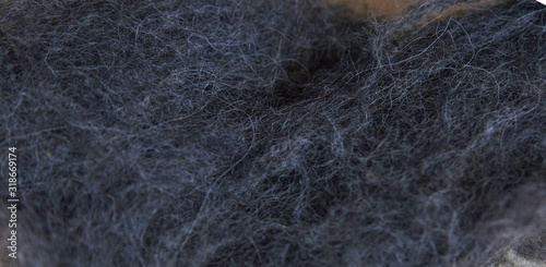 gray Raw wool, ready for manufacturing