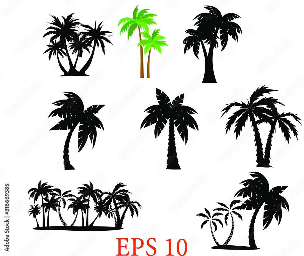 Tropical palm trees set silhouettes. Palm set clip art ,black palms, Eps 10