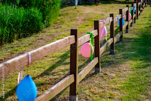 Party fence
