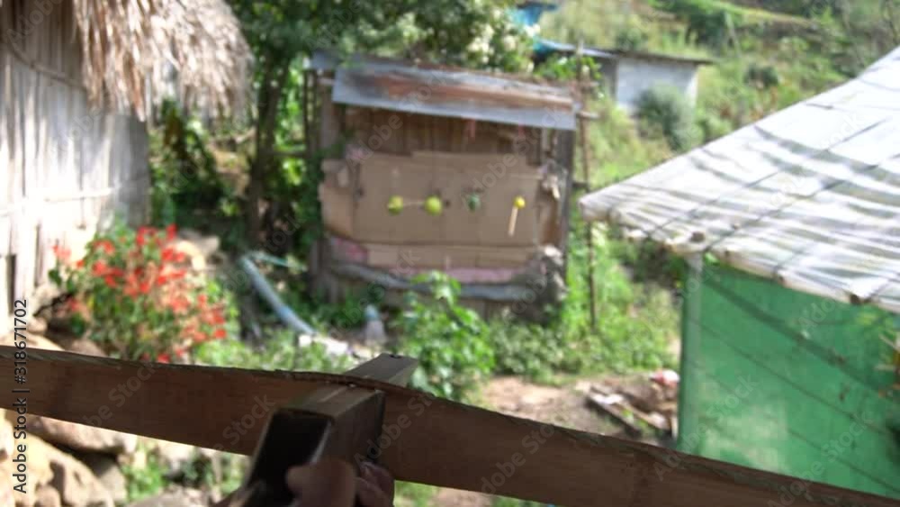 Crossbow is shooting at fruit. The hand that is using the crossbow. Crossbow is shooting at fruit. The hand that is using the crossbow.