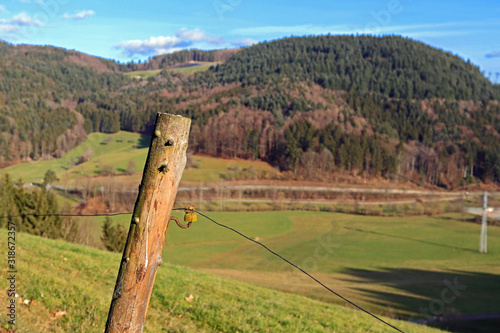 Schwarzwald photo