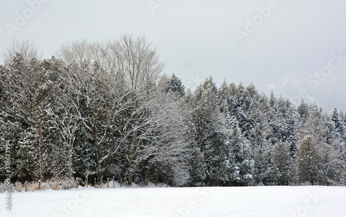 Winter landscape in Bromont, Eastern township  Quebec, Canada photo