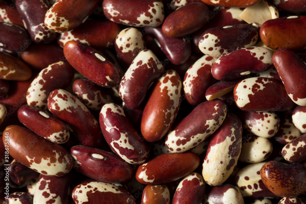 Raw Red Organic Cattle Beans Raw Red Organic Cattle Beans