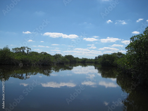 Clouds reflection over water at everglades national park in south Florida © felipe