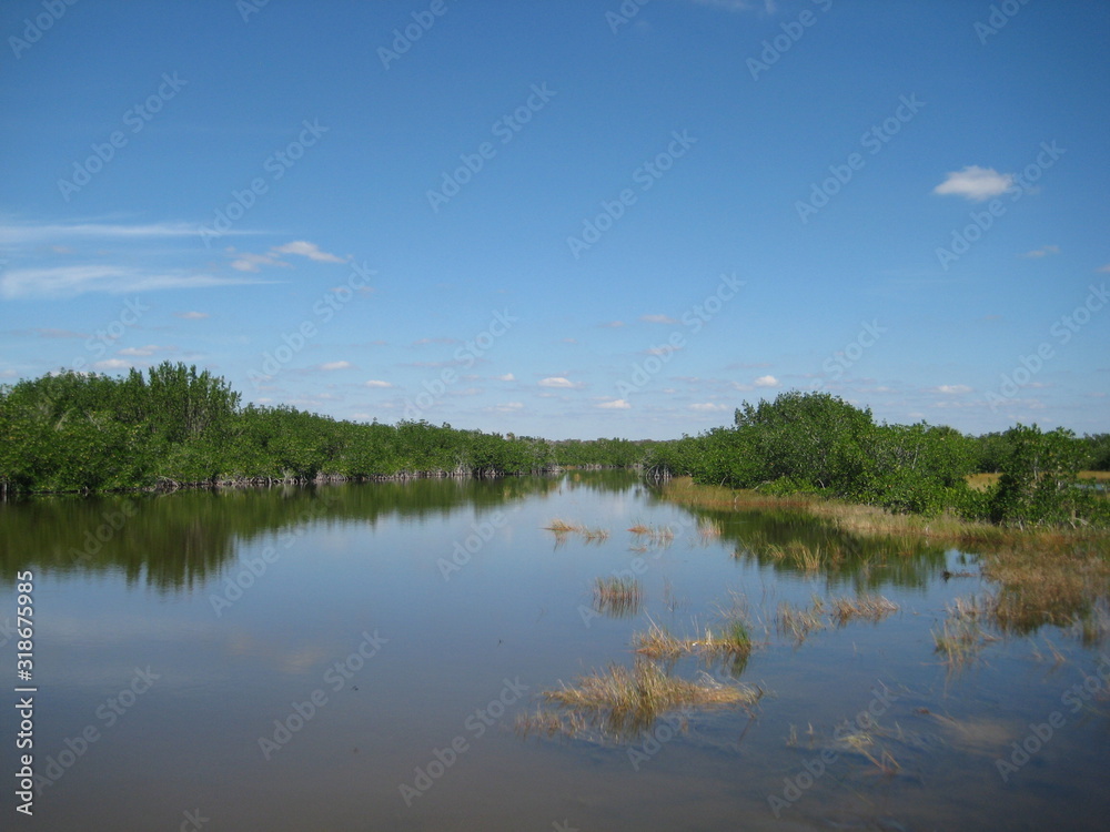 Everglades swamp Landscape, sky, grass and mangroves are reflected by the water
