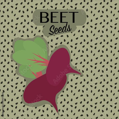 Flat design packaging for seeds of vegetables in vector with copy space. Beet seeds