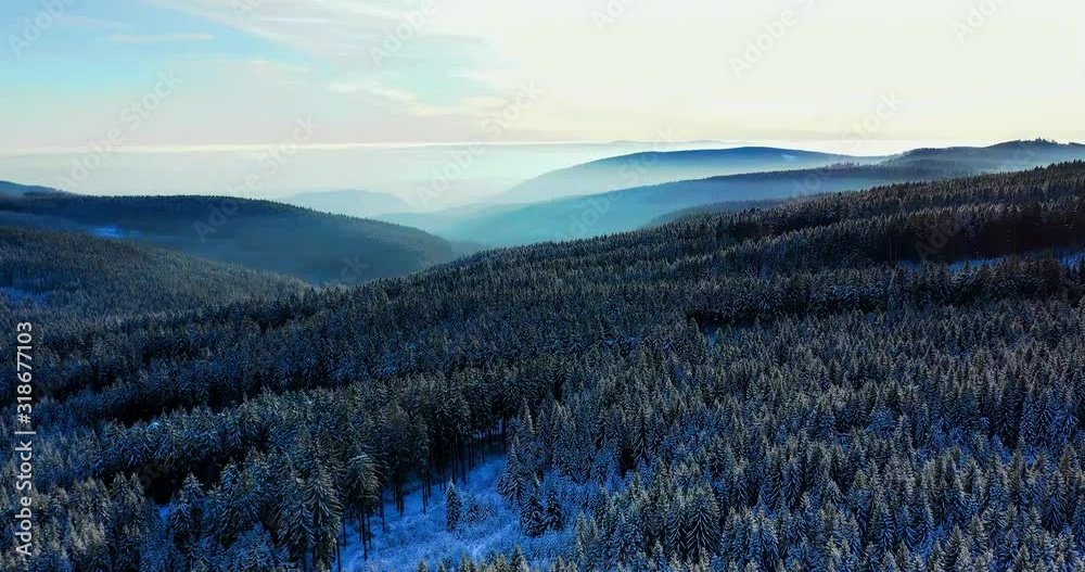 Winterwald im Erzgebige