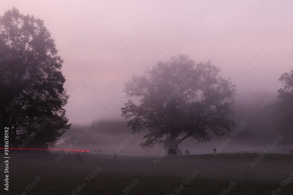 Nebel Nebel
