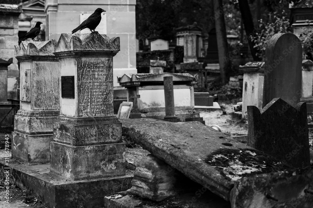 Crows on the graves at Père Lachaise cemetery in Paris
