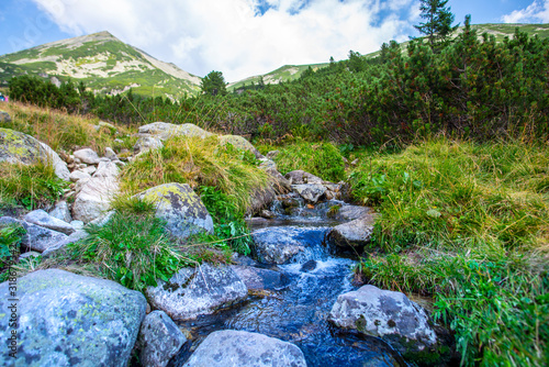Landscape in Retezat Mountains