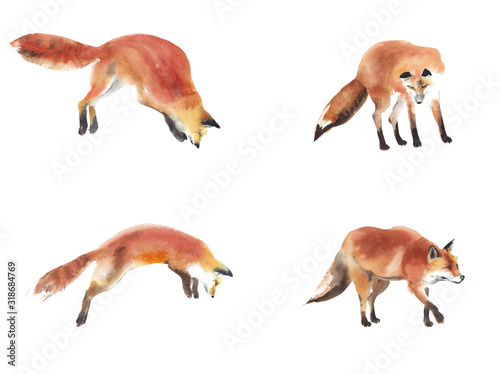 Fox hunting set watercolor painting illustration isolated on white background