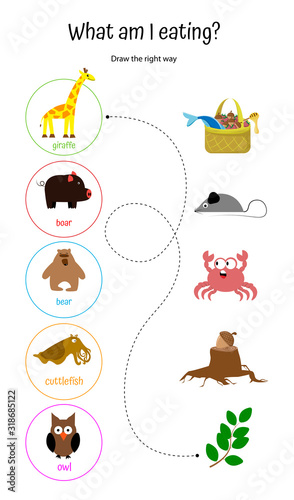 Fototapeta Naklejka Na Ścianę i Meble -  What am I eating? Draw path to animal’s food. Educational game labyrinth for children. Giraffe, wild boar, bear, owl