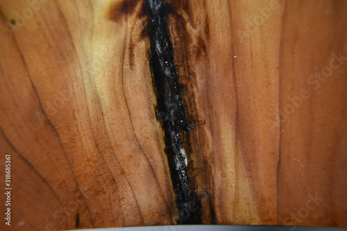 wood grain and epoxy close up