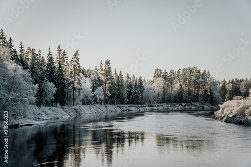 winter landscape with river and trees