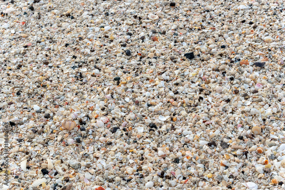 Closeup to beach surface full of sand, stones, shells and pebbles different size and colors. Shot at day time, flat type of image. Closeup to beach surface full of sand, stones, shells and pebbles different size and colors. Shot at day time, flat type of image.