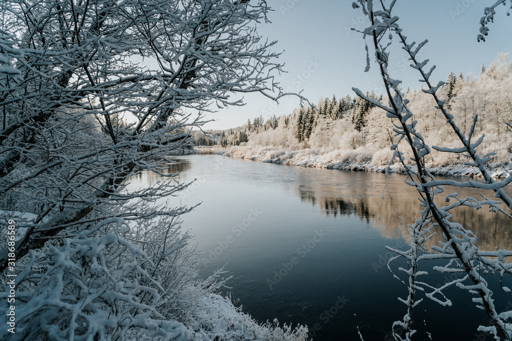 winter landscape with river and trees winter landscape with river and trees