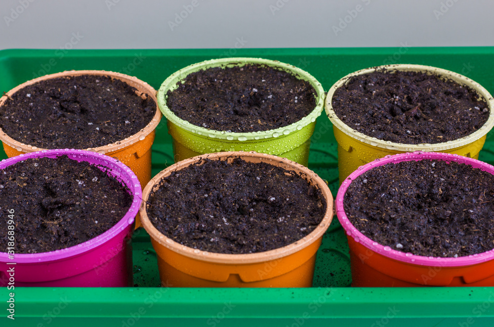 Colorful plastic pots for seedlings. .Bright round containers for