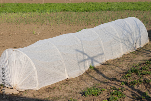 Small greenhouse covered with agrofibre ready for planting field on the background