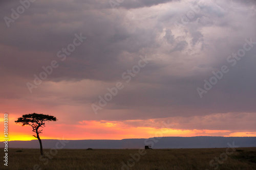 Sunset and a Safari Vehicle moving in vast Savannah, Masai Mara